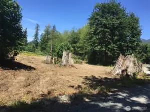 Cleared Field