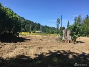 Cleared Field