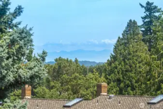 Beautiful views from deck and primary.