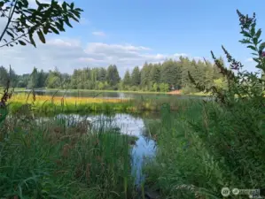 Barns Lake