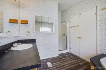 Step-in shower offers convenience and functionality.