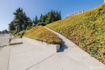 Amazing and rare concrete bulkhead