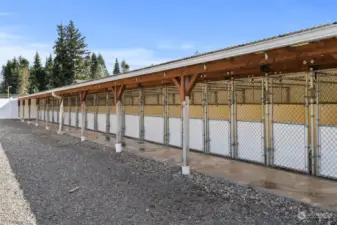 Covered outdoor kennel areas offer access to a fully fenced play areas. With secure fencing and ample room to run and explore.