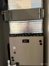 Trane forced air heat.