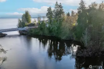 Creek View of property