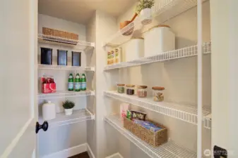 Great storage throughout the house including a kitchen pantry.