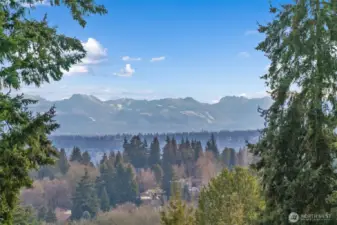1261 NE 100th St in Maple Leaf. 5BR, 3.25BA with view Rooftop Deck plus private balcony off Primary Suite.
