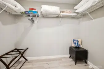 Large walk-in closet.