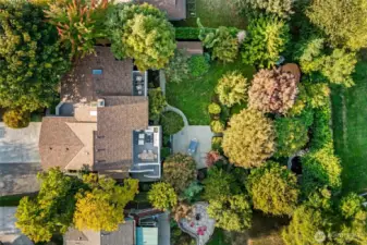 Arial view of large property w/ mature landscaping