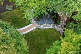 Arial view of pond area