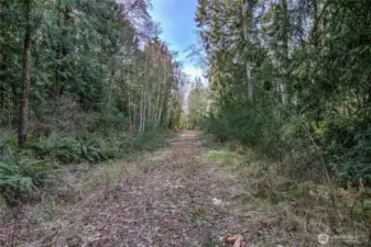 Foxden From Midway looking from Sportsman West. Lot B on the right of Drive