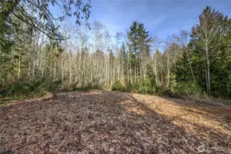 Looking toward the edge of Lot B from the FoxDen Round. This is the already built Access Circle on FoxDen