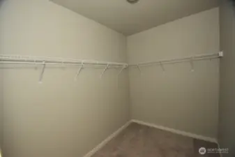 2nd Bedroom on Lower level with full bathroom