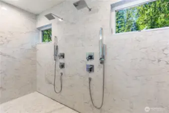 Dual shower in main bathroom