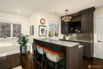 Wet bar in the rec room