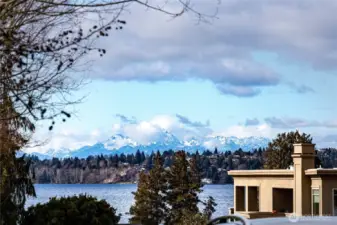 View from the Front Yard