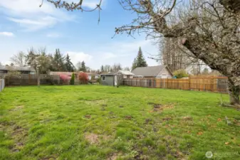 Back Yard with 2nd shed or workshop