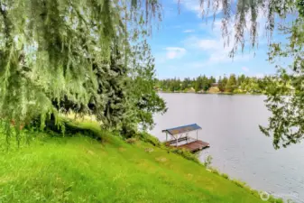 View from middle of property
