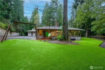 Eco-Friendly Turf-Low Maintenance
