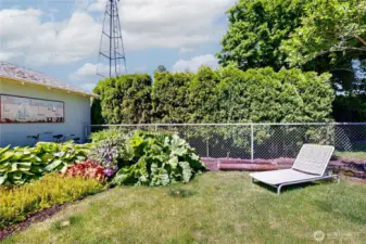 Fenced in lawn area