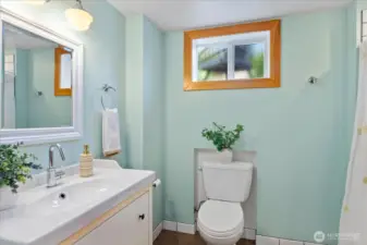 Lower level 3/4 bath