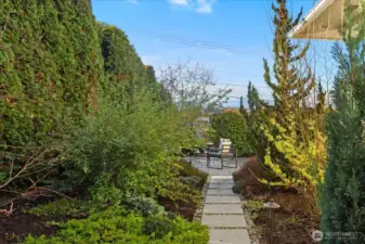 Pathway to the patio