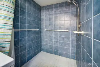 Easy no-step shower in basement.