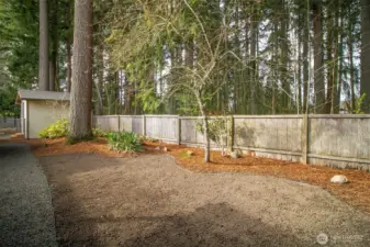 Back Yard Oasis