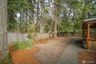 Back Yard Oasis