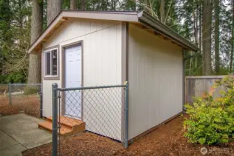 New 10x12 Shed with Electricity