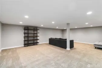 Family Room (Basement)