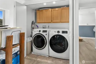 Basement hosts the laundry area, and there is also a spot here plumbed for a future wet bar.