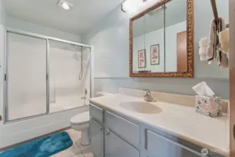 Lower-level full bath.