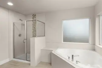 Primary bath and shower