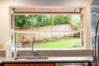 Backyard from Kitchen Window