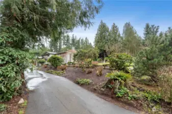 Fantastic View as you approach your new home. Landscaped with beautiful mature Rhodies and Hydrangeas. Incredible colors for spring, summer and fall.