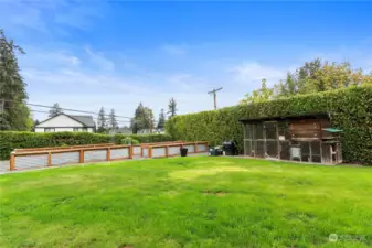 TUB VEGETABLE GARDENS & CHICKEN COUP!