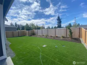 Homesite 6 Backyard