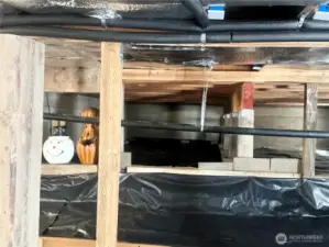 Amazing storage area under the home is 6' tall, clean, and dry. It offers a practical solution for storing items while maintaining the property's aesthetics.