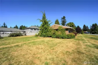 Back yard