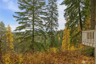Stunning Yakima River views