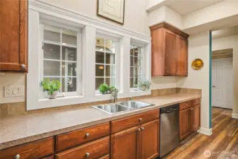 Sunny Skylights and Windows