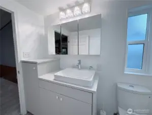 Master Bathroom Vanity