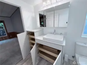 Master Bathroom Vanity Storage
