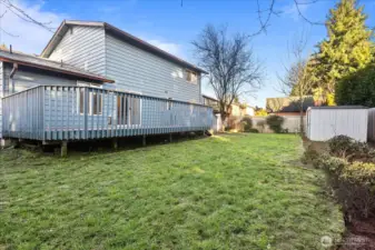 Fully fenced backyard includes a tool shed.