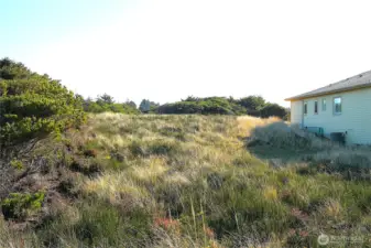 --- its the perfect --