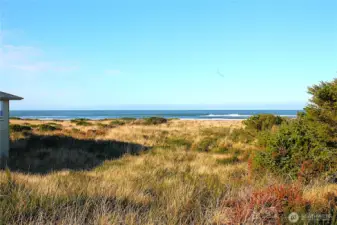 -- nestled in the dunes is --