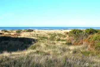 --- bring your plans --