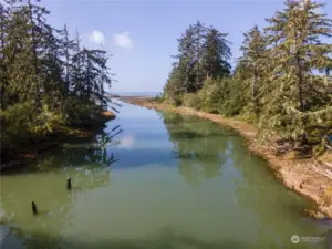 Cast off into the bay from this backyard at 133 Burrows Rd .