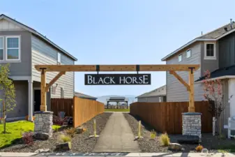 Welcome to Black Horse